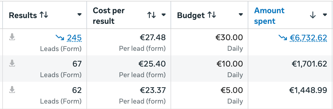 Meta Ads Manager resultaten Schats & Leenders